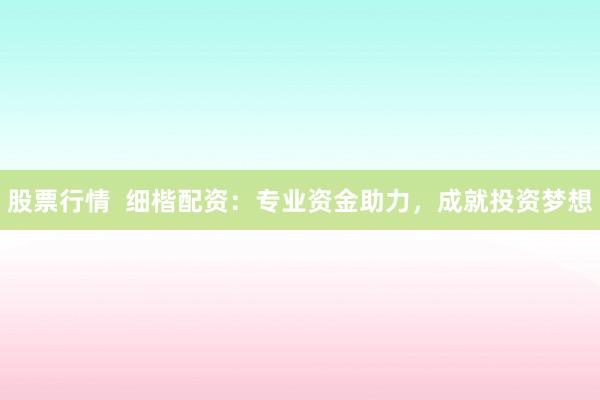 股票行情  细楷配资：专业资金助力，成就投资梦想