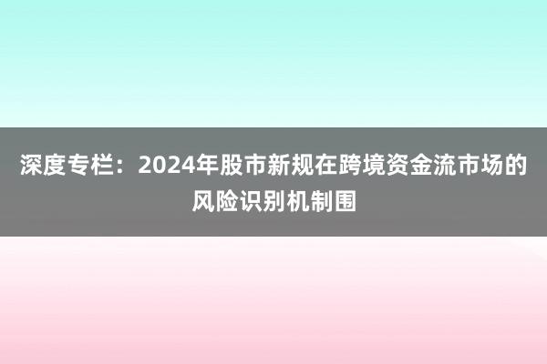 深度专栏：2024年股市新规在跨境资金流市场的风险识别机制围