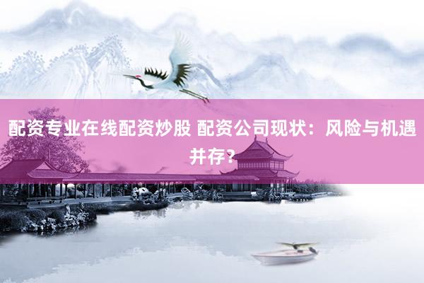 配资专业在线配资炒股 配资公司现状：风险与机遇并存？
