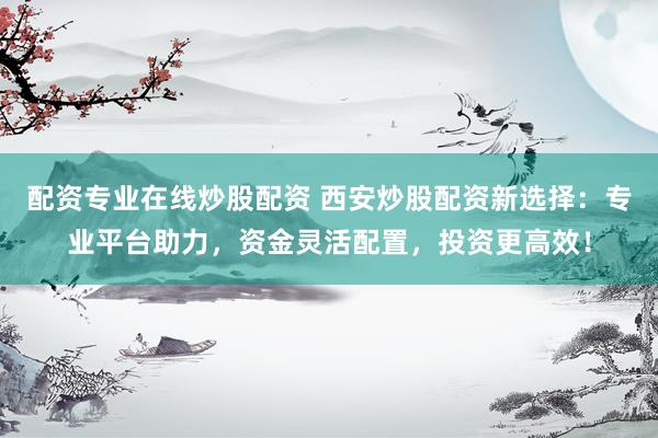 配资专业在线炒股配资 西安炒股配资新选择：专业平台助力，资金灵活配置，投资更高效！