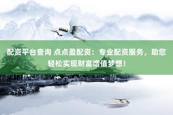 配资平台查询 点点盈配资:专业配资服务,助您轻松实现财富增值梦想!