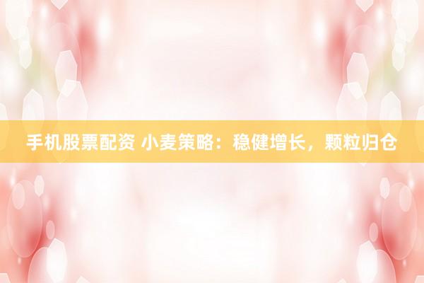 手机股票配资 小麦策略：稳健增长，颗粒归仓