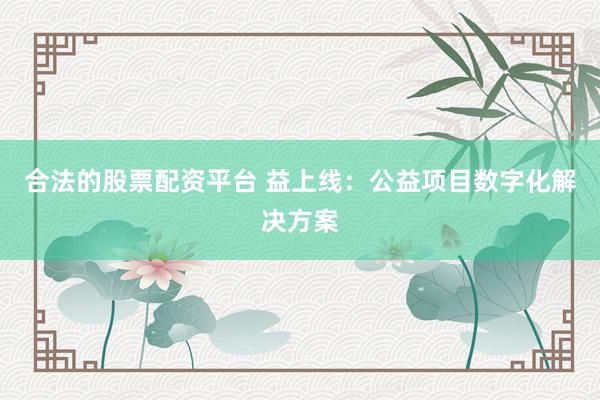 合法的股票配资平台 益上线：公益项目数字化解决方案